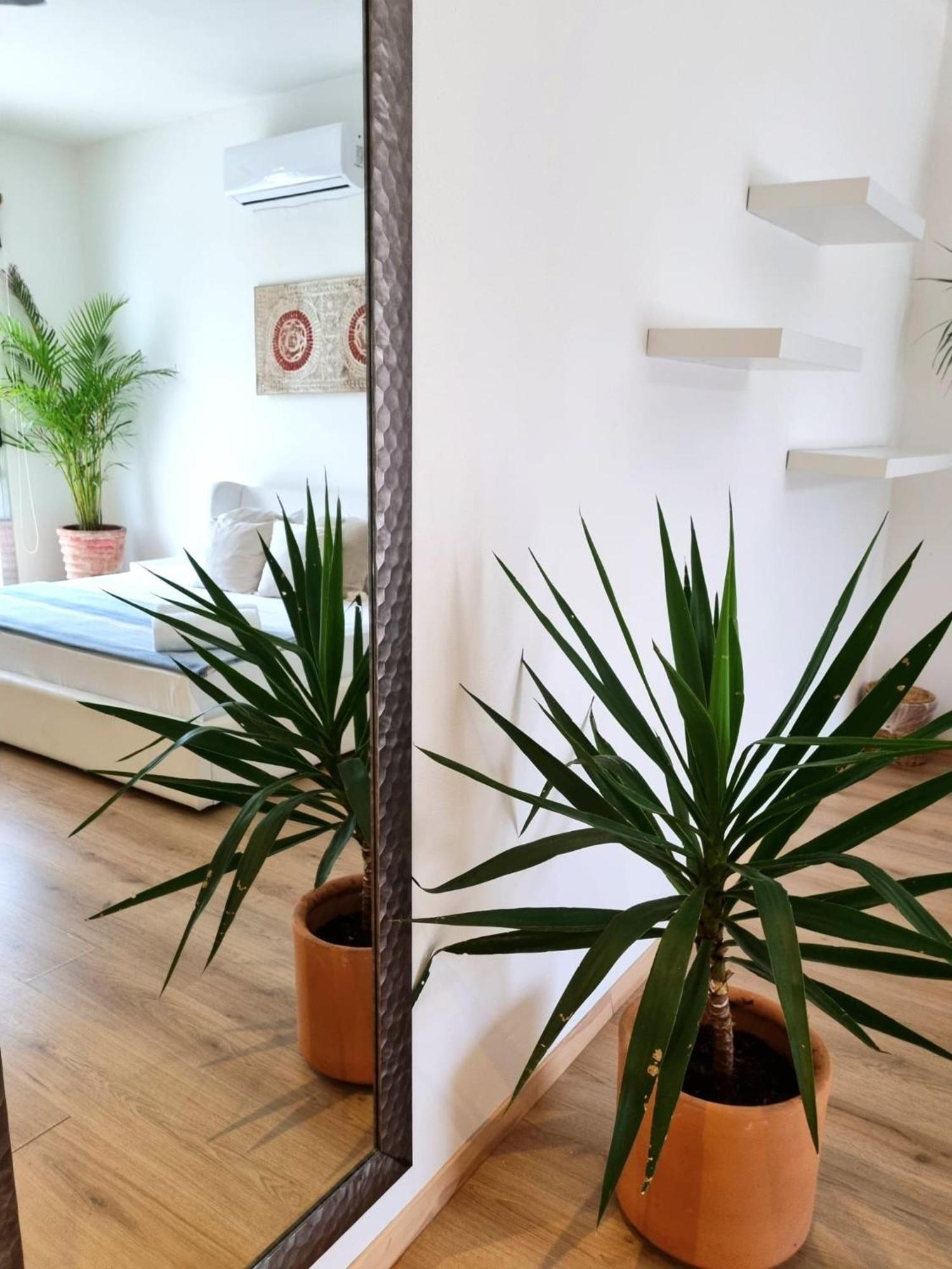 Chill Inn Hostel Тулум Экстерьер фото